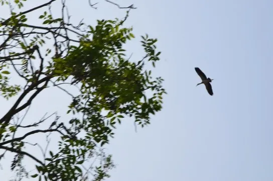 20120110-065406.jpg