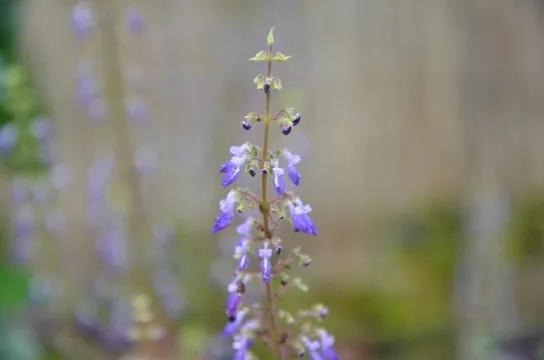 20120122-224545.jpg